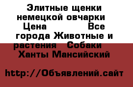 Элитные щенки немецкой овчарки › Цена ­ 30 000 - Все города Животные и растения » Собаки   . Ханты-Мансийский